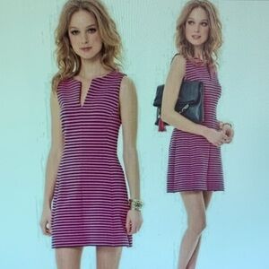 Lilly Pulitzer Pink and Black Striped Mini Dress